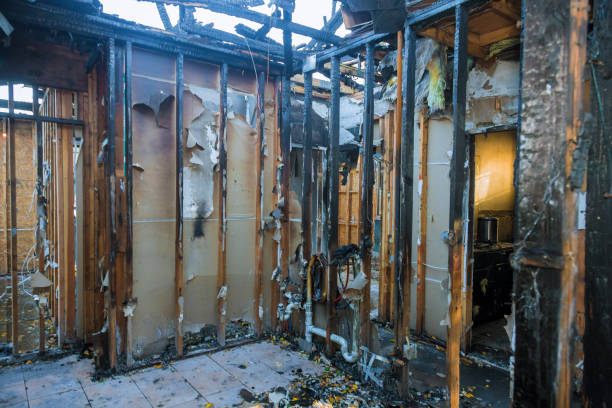 Professional Smoke Damage Removal technician working in Doylestown, PA